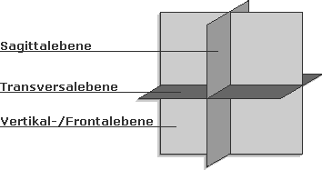K&ouml;rperebenen